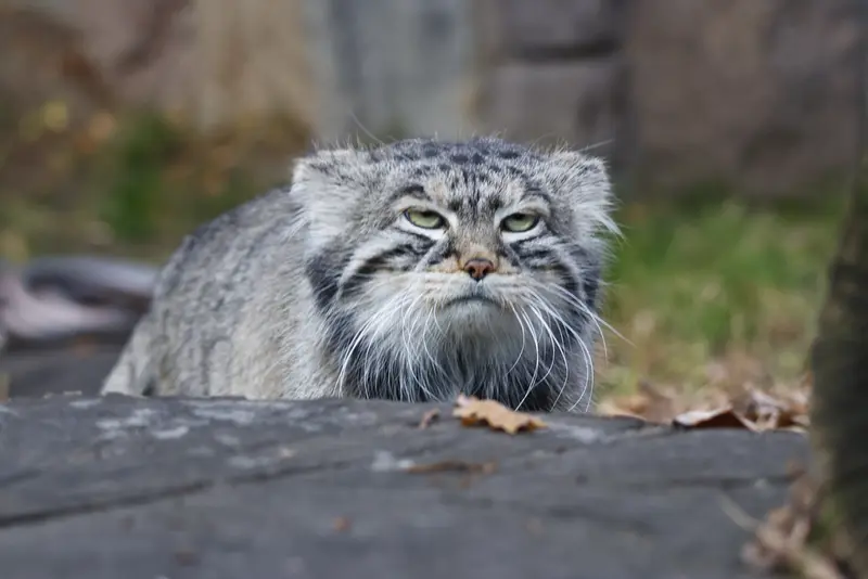 A photograph of Timofey in Moscow zoo