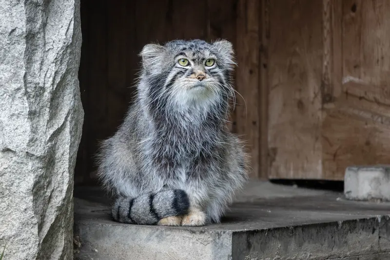 A photograph of Timofey in Moscow zoo