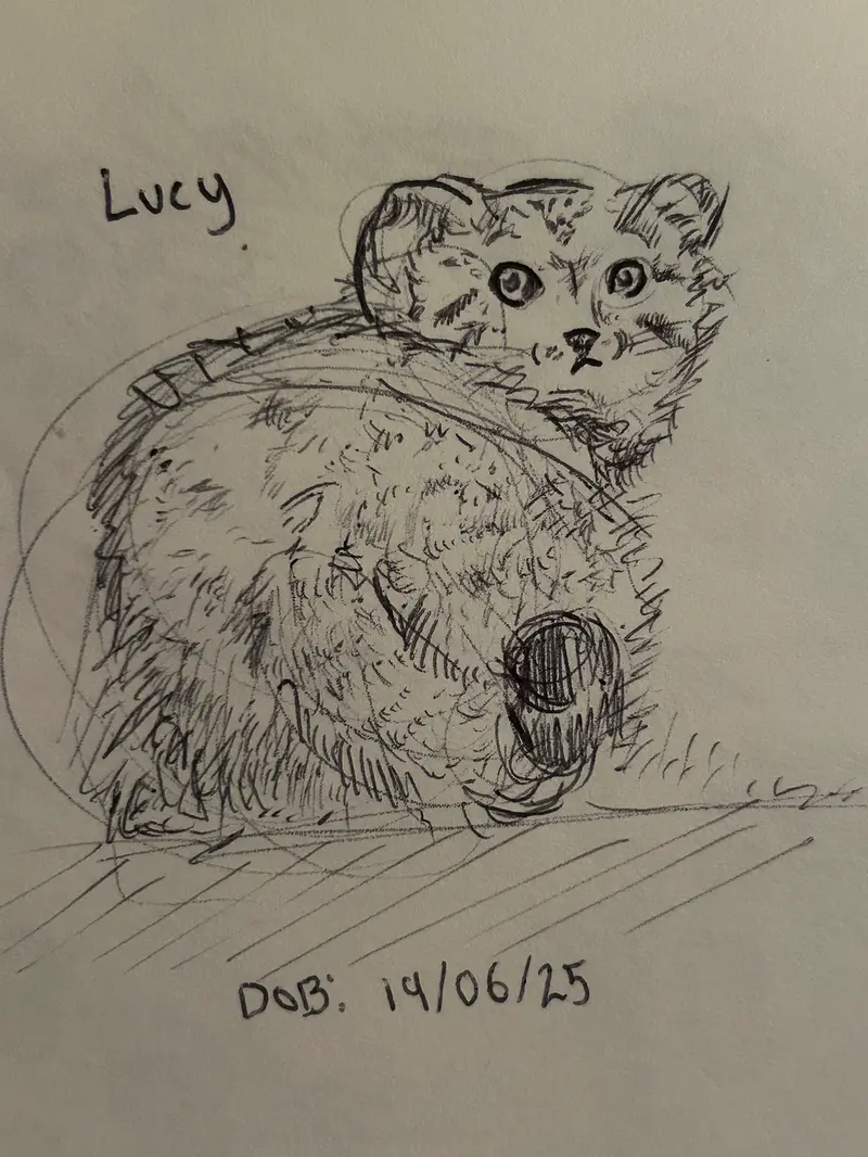 manul drawings I have done recently!!