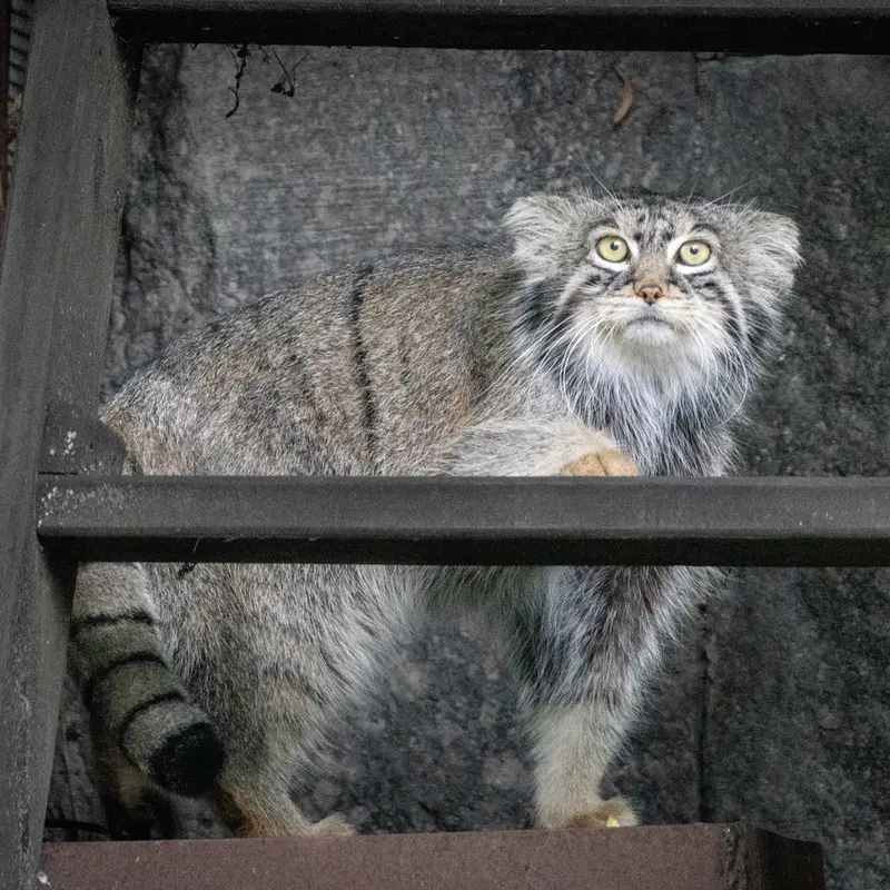 A photograph of Timofey in Moscow zoo