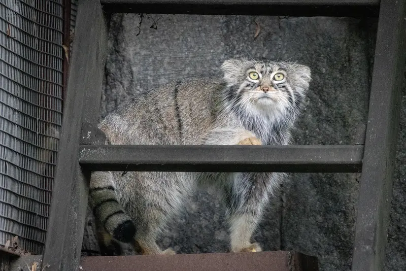 A photograph of Timofey in Moscow zoo