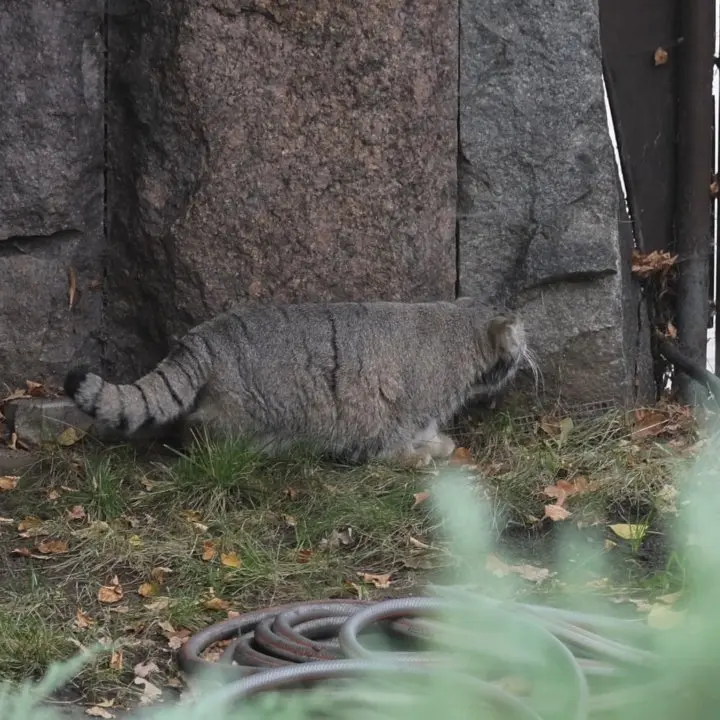 A photograph of Timofey in Moscow zoo