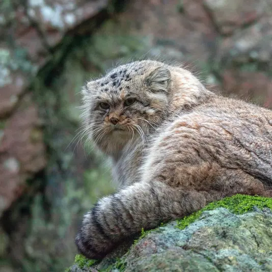 A photograph of Thomas O'Malley in Nordens Ark