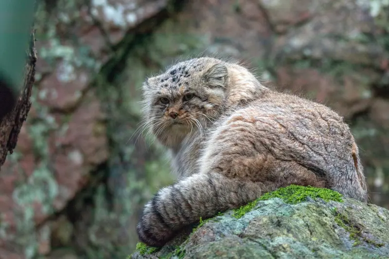 A photograph of Thomas O'Malley in Nordens Ark