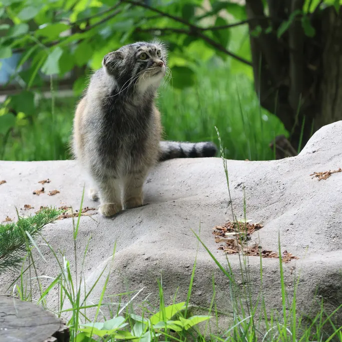 A photograph of Timofey in Moscow zoo