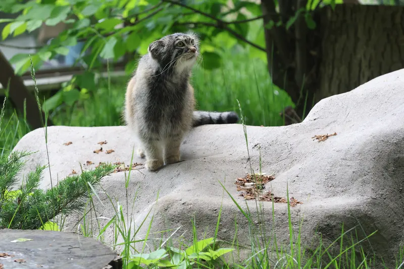 A photograph of Timofey in Moscow zoo
