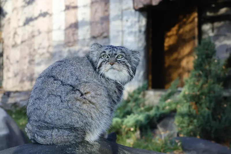 A photograph of Timofey in Moscow zoo