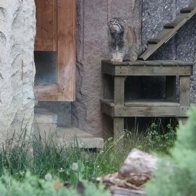 A photograph of Timofey in Moscow zoo