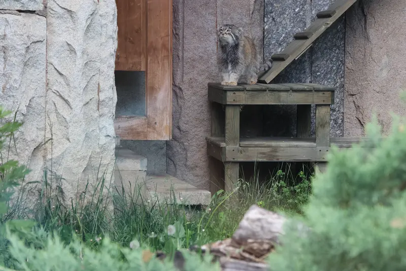 A photograph of Timofey in Moscow zoo