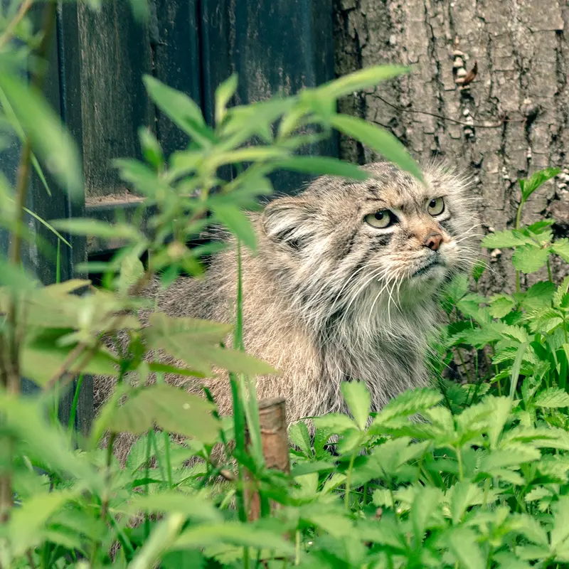 A photograph of Melissa in Lithuanian Zoo