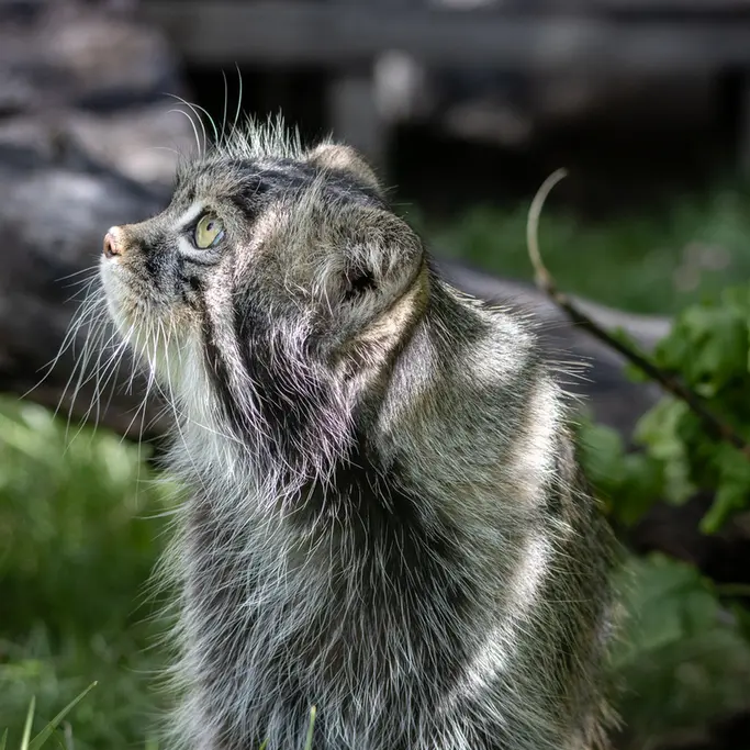 A photograph of Timofey in Moscow zoo