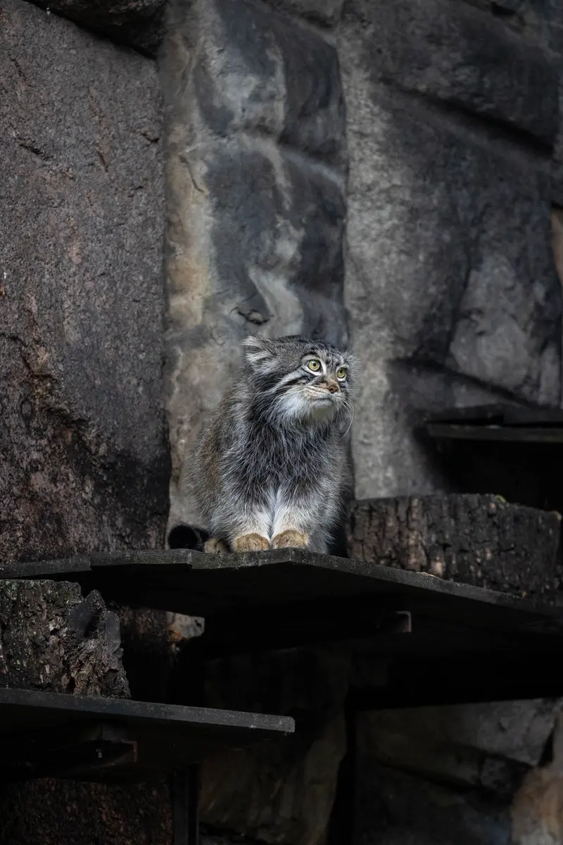 A photograph of Timofey in Moscow zoo