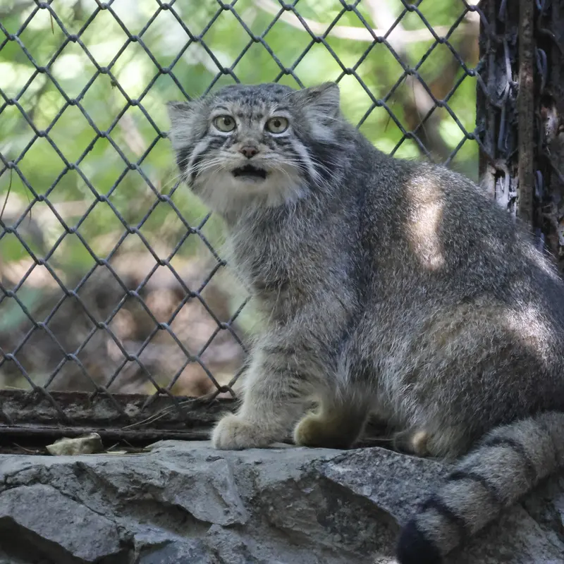 A photograph of Eve in Novosibirsk Zoo