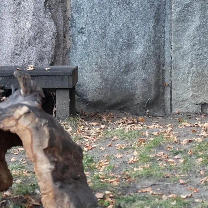 A photograph of Timofey in Moscow zoo