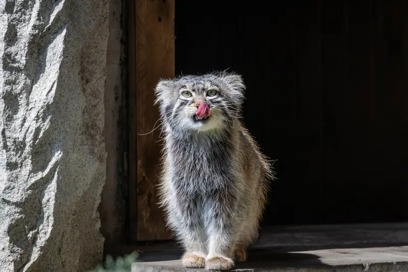 A photograph of Timofey in Moscow zoo