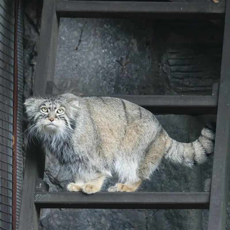 A photograph of Timofey in Moscow zoo