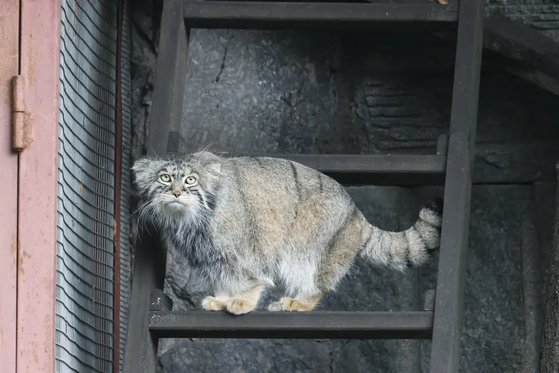 A photograph of Timofey in Moscow zoo