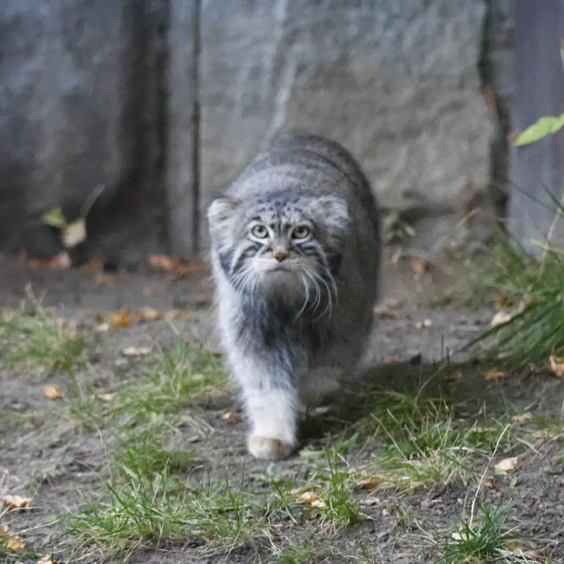 A photograph of Timofey in Moscow zoo
