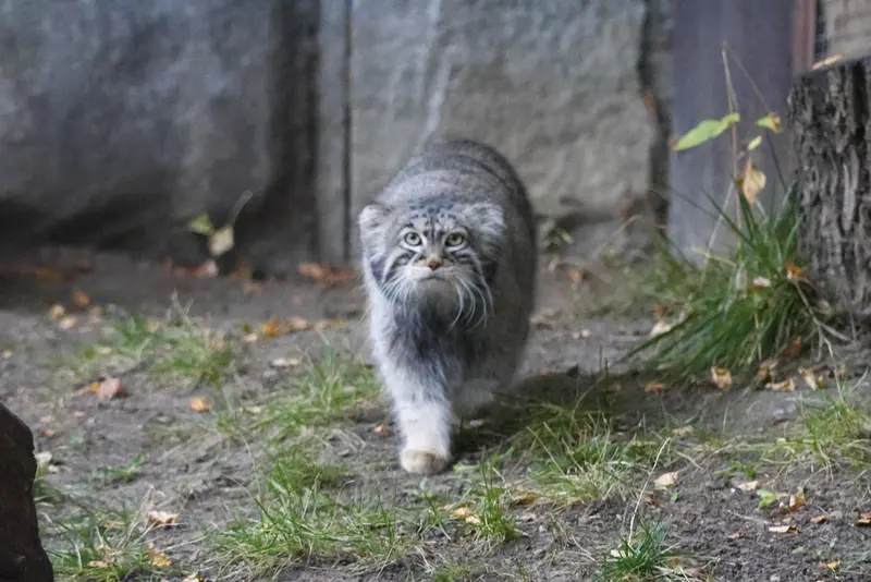 A photograph of Timofey in Moscow zoo