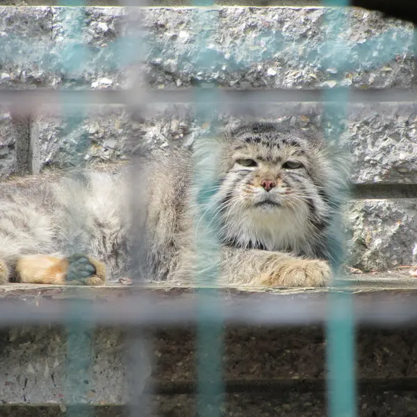 A photograph of Jonathan in Magdeburg Zoo