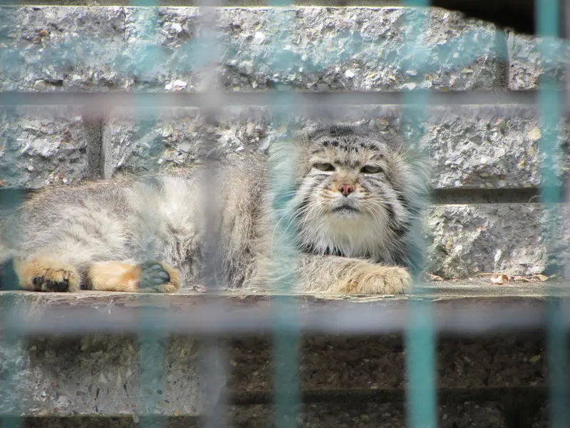 A photograph of Jonathan in Magdeburg Zoo