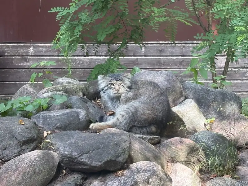 A photograph of Bozenka in Poznan New Zoo