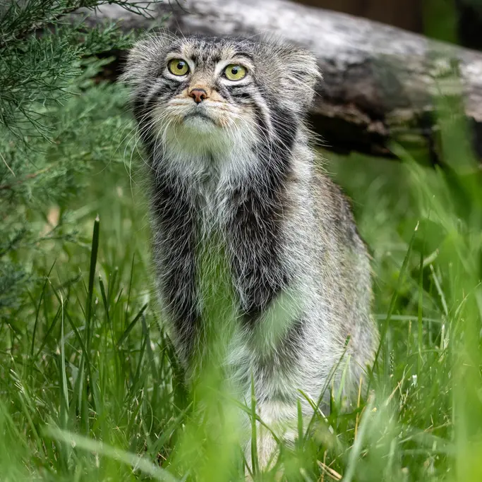 A photograph of Timofey in Moscow zoo