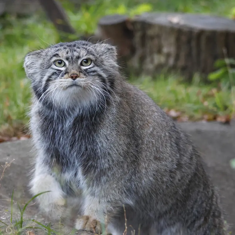 A photograph of Timofey in Moscow zoo