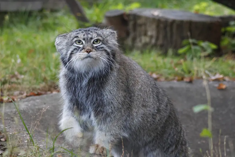 A photograph of Timofey in Moscow zoo