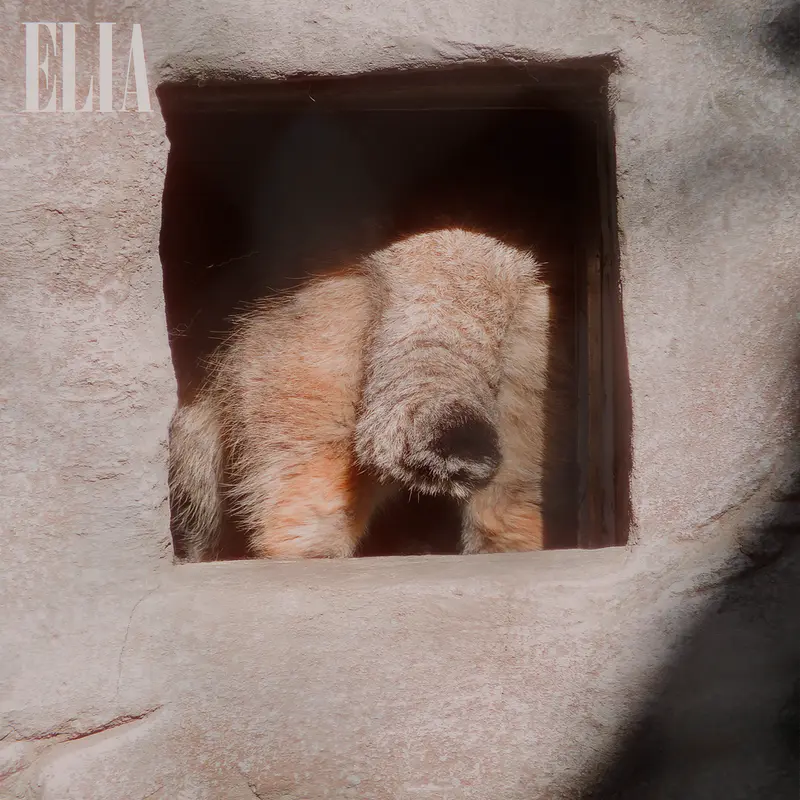 A photograph of Olaf in Calgary Zoo / Wilder Institute
