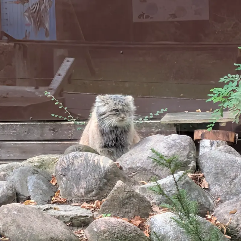 A photograph of Bozenka in Poznan New Zoo