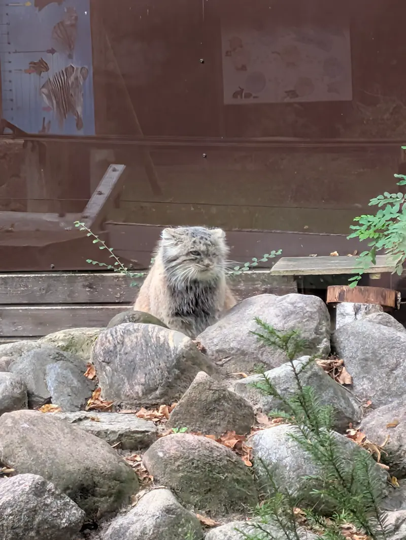 A photograph of Bozenka in Poznan New Zoo