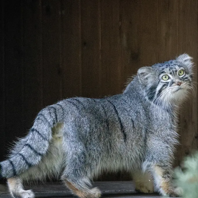 A photograph of Timofey in Moscow zoo