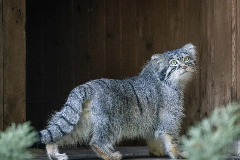 A photograph of Timofey in Moscow zoo
