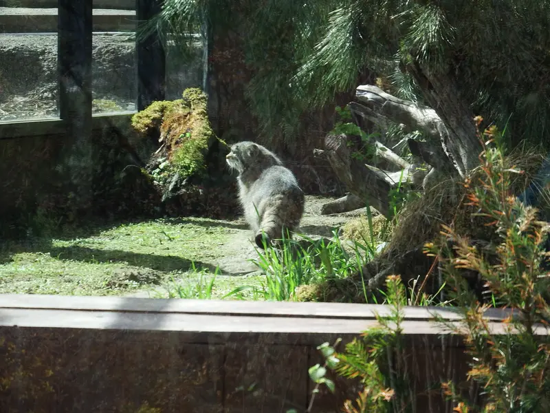 A photograph of Boris in Royev Ruchey