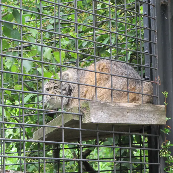 A photograph of Jonathan in Magdeburg Zoo