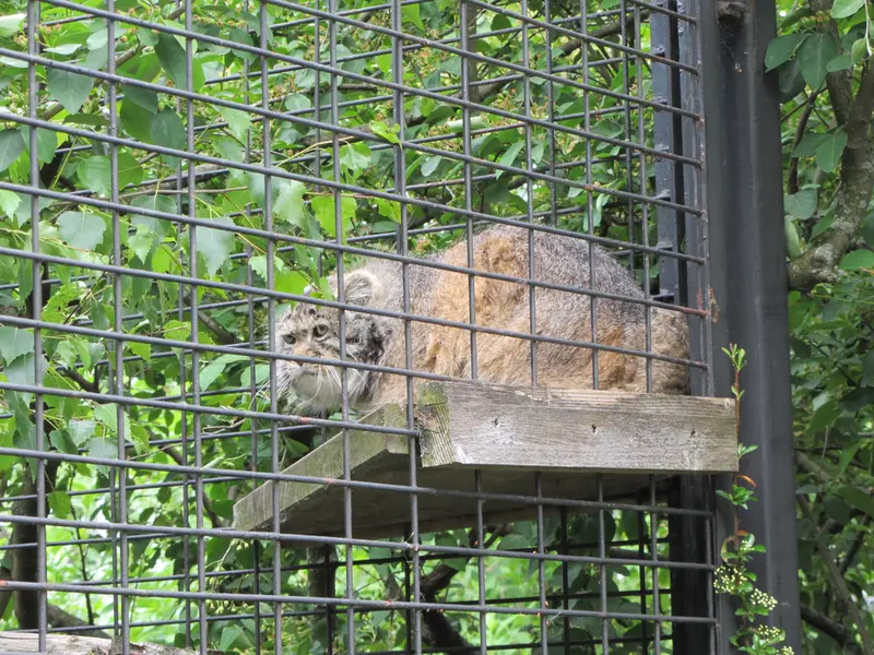 A photograph of Jonathan in Magdeburg Zoo