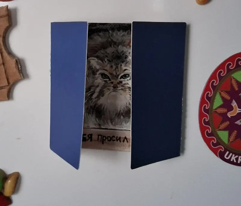 A photograph of a Pallas's cat