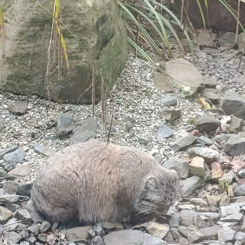 A photograph of Moira in Ostrava Zoo