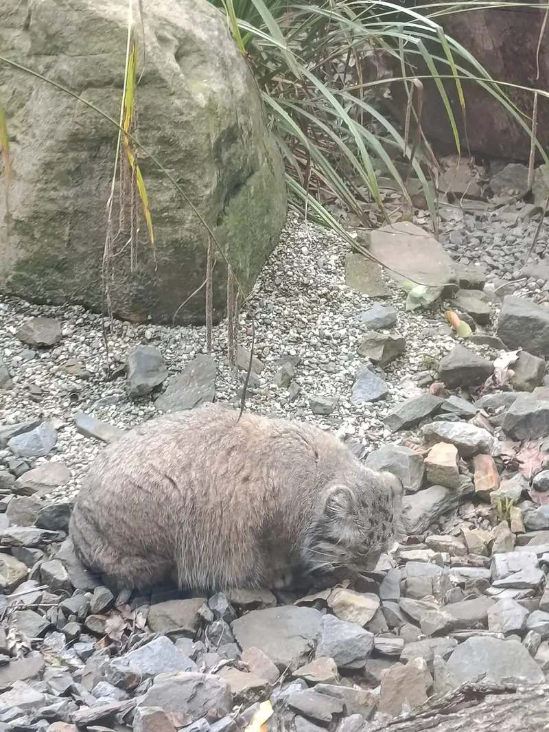 A photograph of Moira in Ostrava Zoo