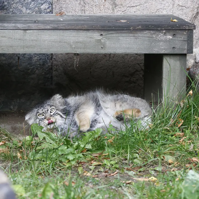 A photograph of Timofey in Moscow zoo