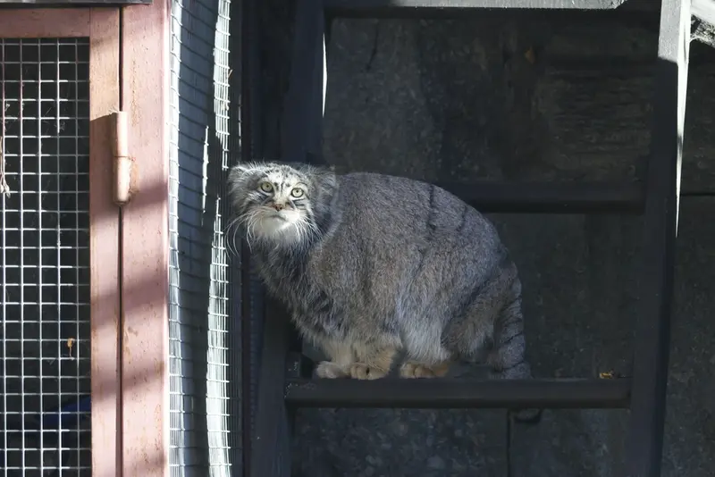 A photograph of Timofey in Moscow zoo