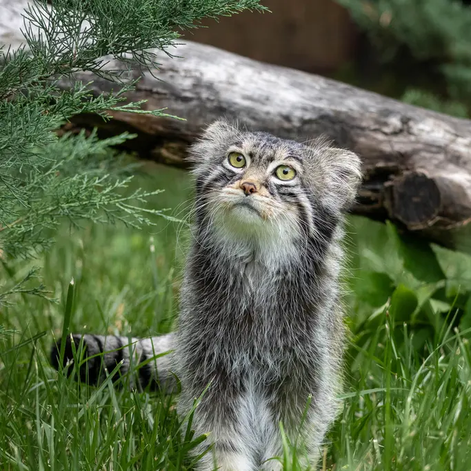 A photograph of Timofey in Moscow zoo
