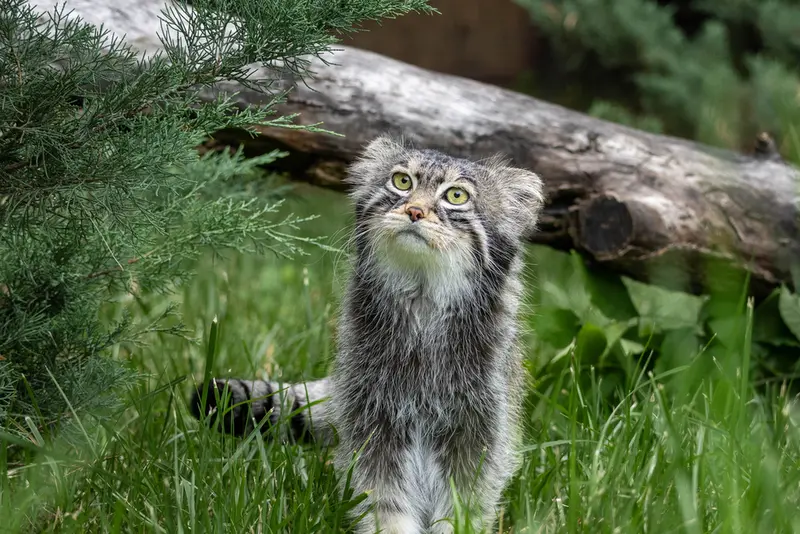 A photograph of Timofey in Moscow zoo