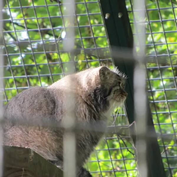 A photograph of Karl-Heinz in Saarbrücken Zoo