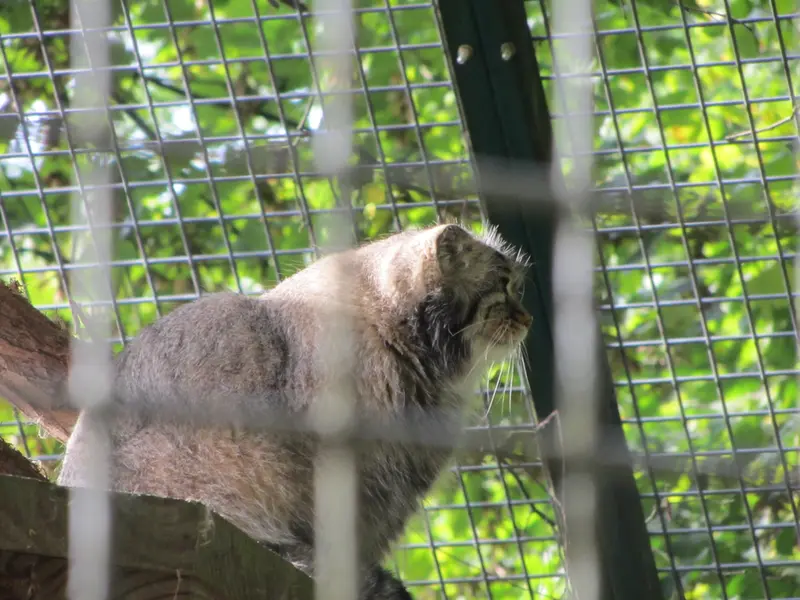 A photograph of Karl-Heinz in Saarbrücken Zoo