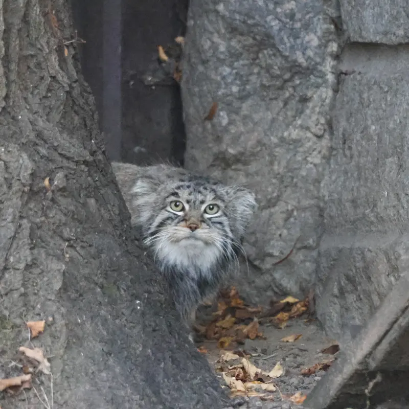 A photograph of Timofey in Moscow zoo