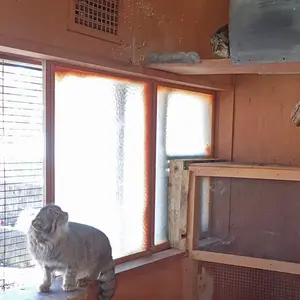 A photograph of Tabby and Lev in Saitama Children's Zoo