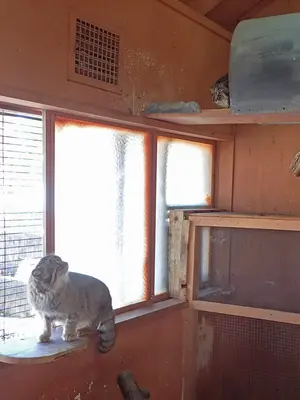 A photograph of Tabby and Lev in Saitama Children's Zoo