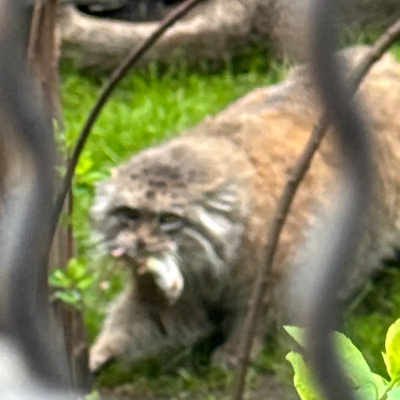 A photograph of Jessie in Warsaw Zoo